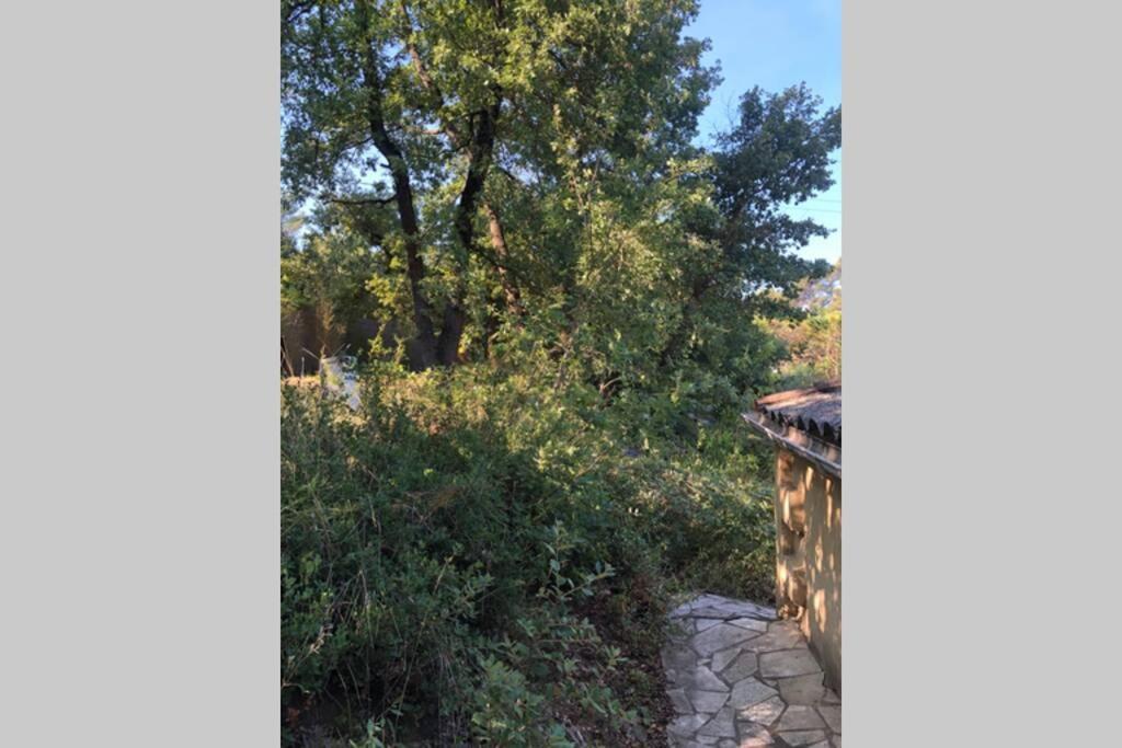 L'Escapade. Entre Aix Et Marseille, Studio Pleine Nature. Fuveau Exteriér fotografie